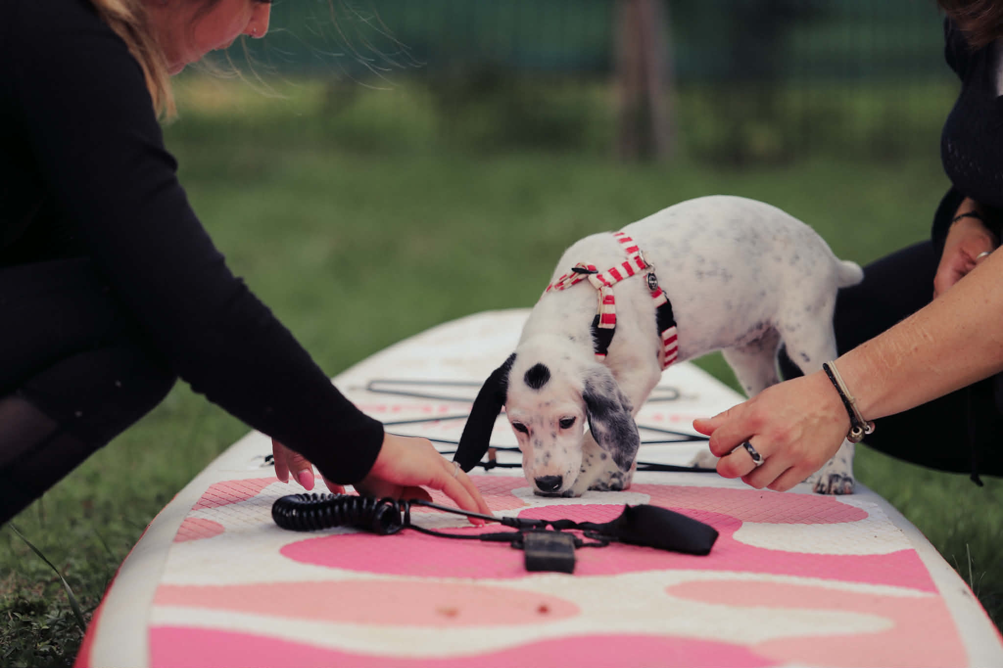 1e001170-6118-4ad4-99df-09182cfe6952