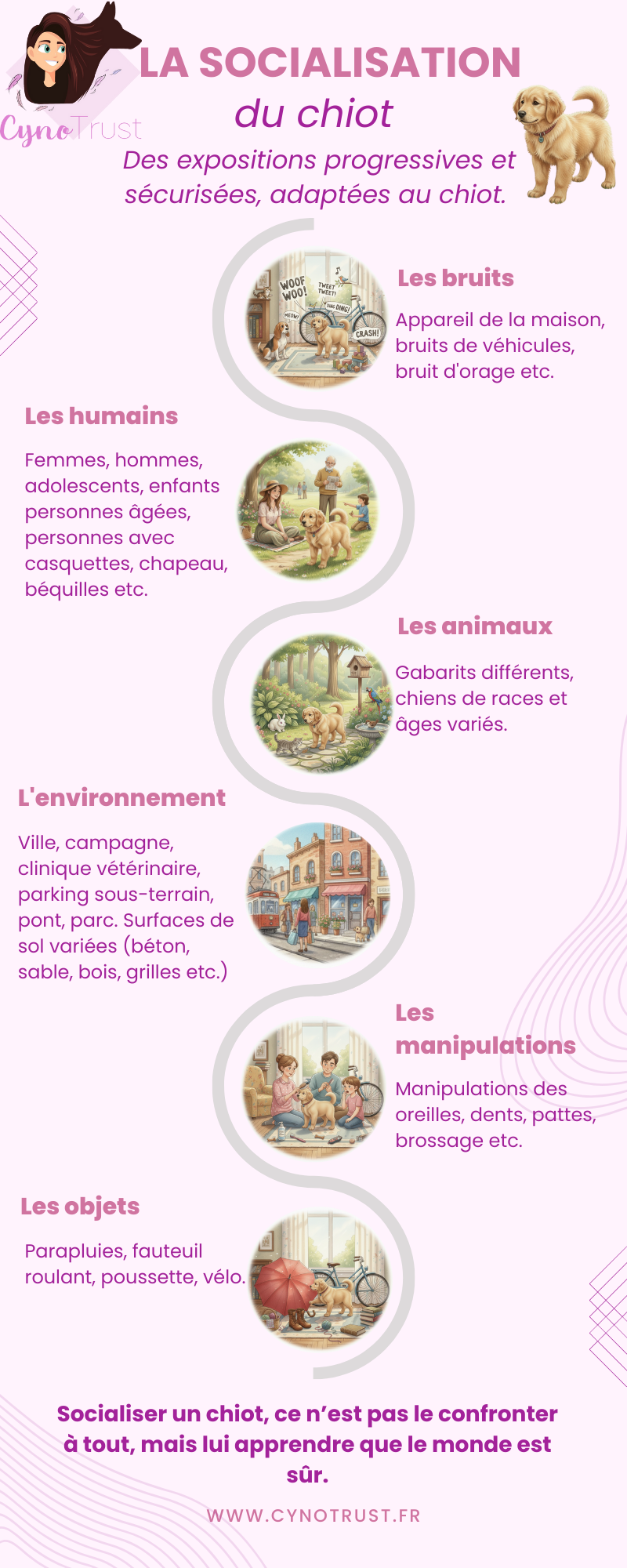 Infographie Étapes Recrutement Professionnel Moderne Violet Beige (1) Les etapes de la socialisation du chiot