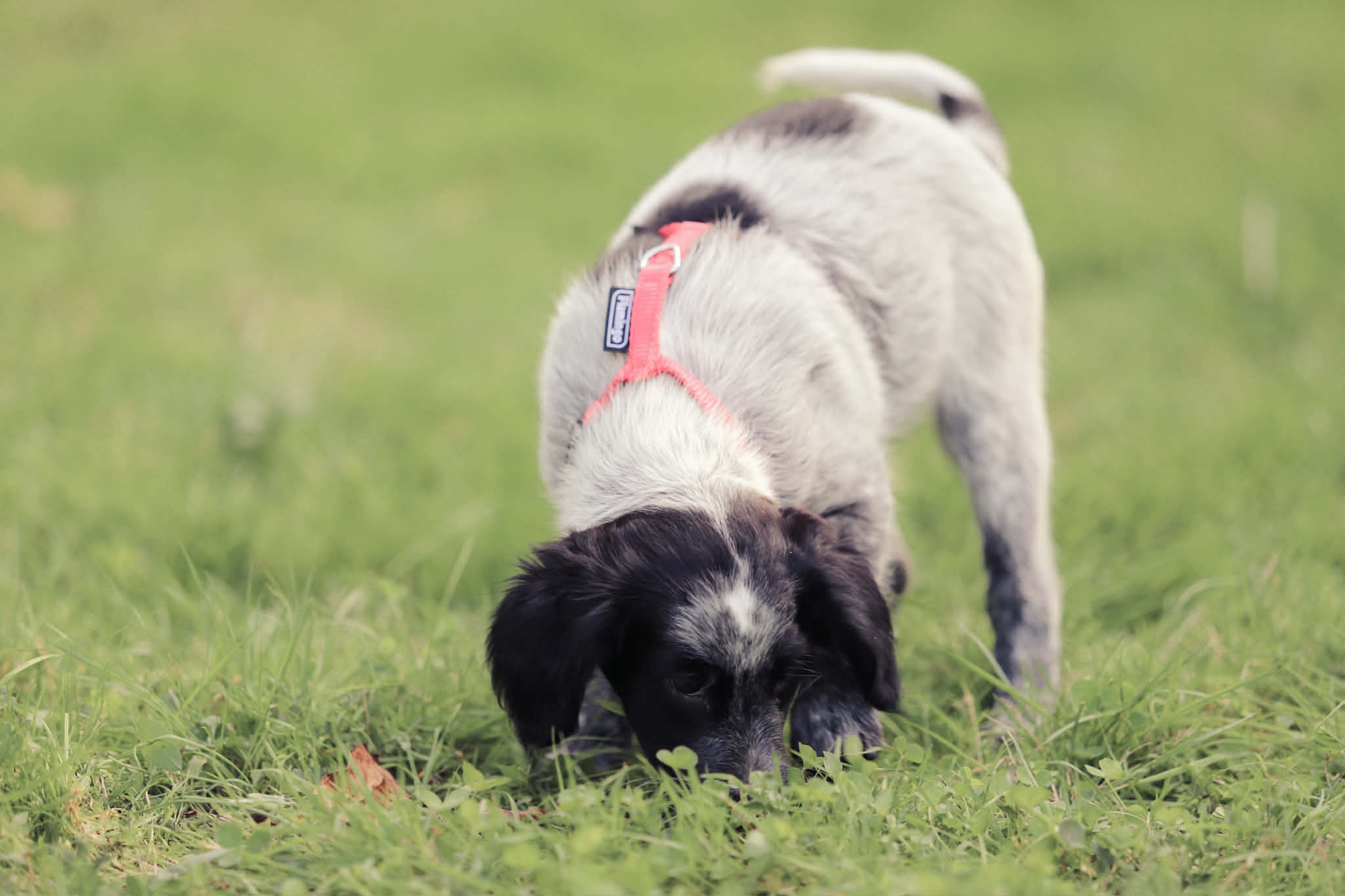 c0422857-9911-4856-9c44-fb52d3a13c8b